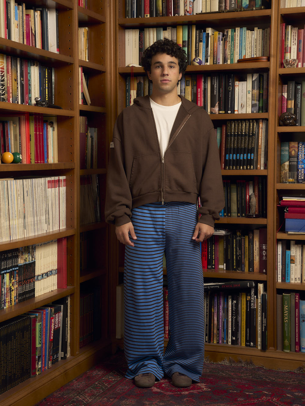 BROWN BLUE STRIPED PANTS